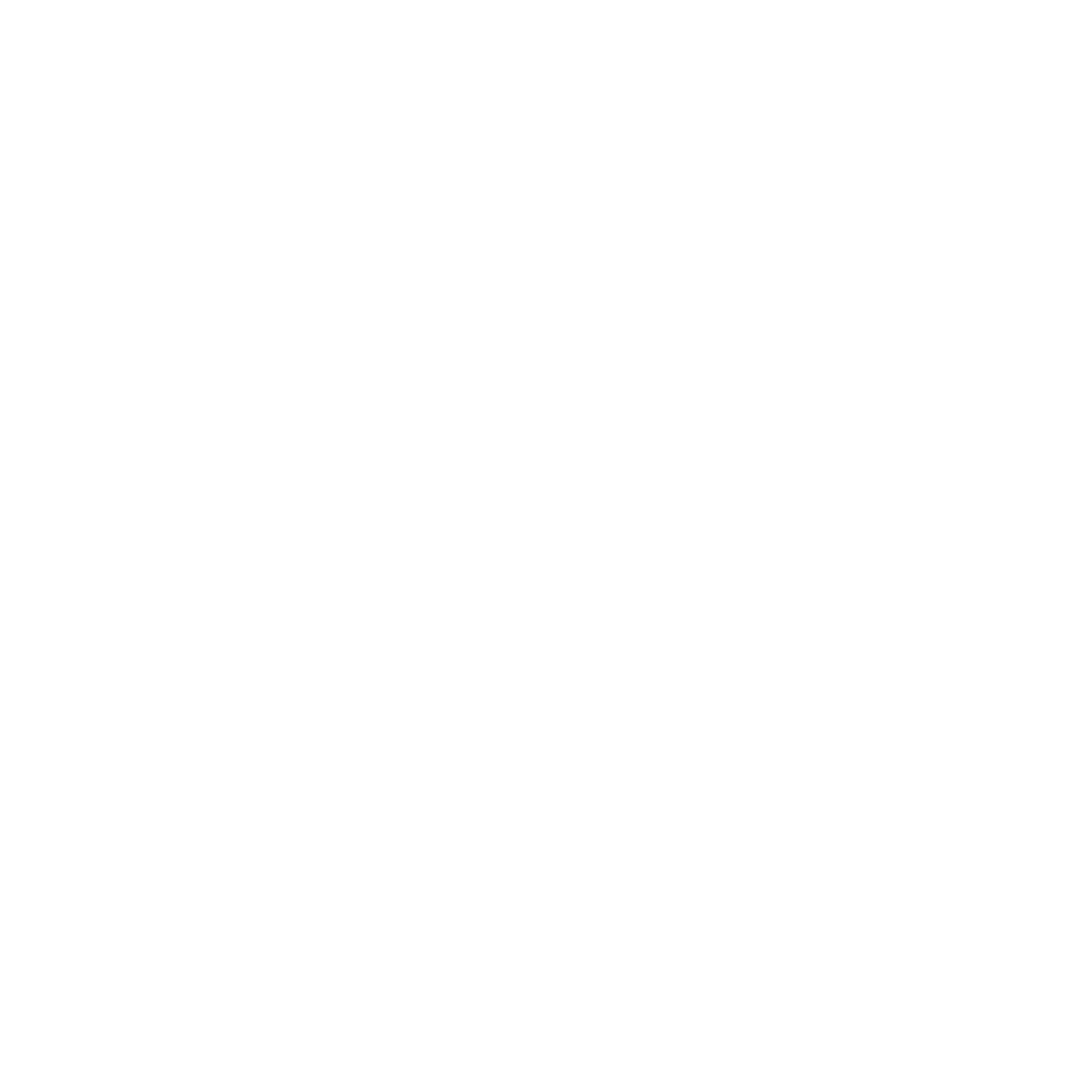 Fleion Software Logo
